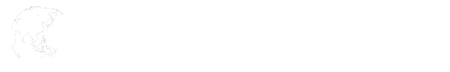 Shinwa Trading Co., Ltd. | Global Expansion & Japan Market Entry Support
